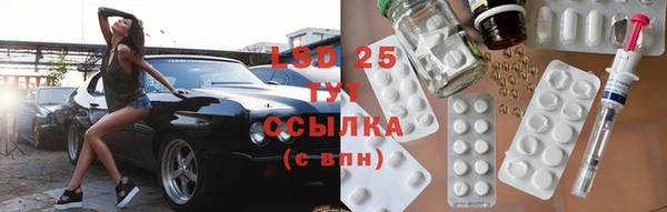 гидра Абаза