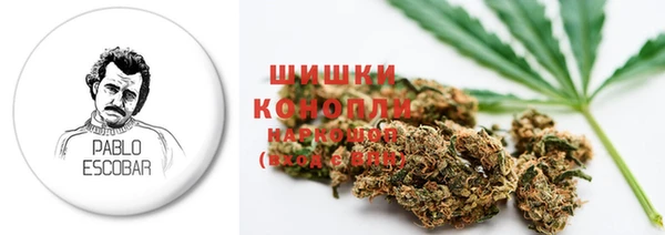 гидра Абаза