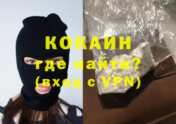 гидра Абаза