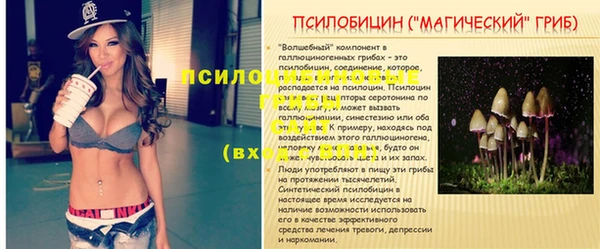 гидра Абаза