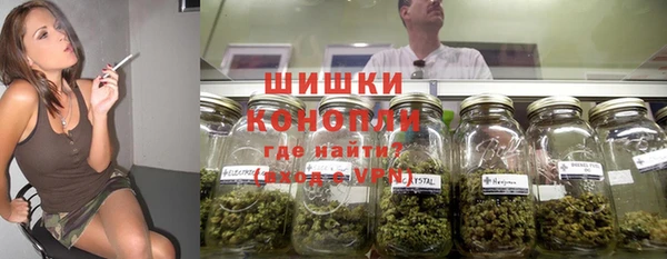 гидра Абаза